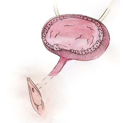 Disposition normale de l’urètre: il ne doit pas être situé plus bas que 1-1,5cm du clitoris et il doit être toujours serré